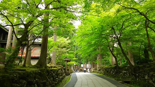 e0020682_1454578.jpg