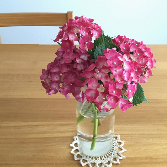 紫陽花。_b0065587_19041630.jpg