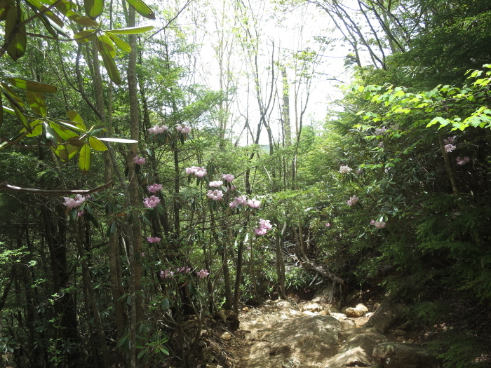 b0339488_20414007.jpg