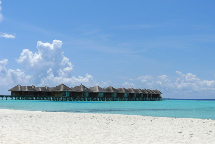 Maldives 2016 Maafushivaru　マーフシヴァル　その55 フォトジェニック_c0147790_13573663.jpg