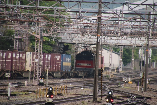 d0181492_23531396.jpg