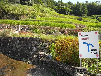 松尾峠(旧香北町～大豊町)_f0308898_14481583.jpg