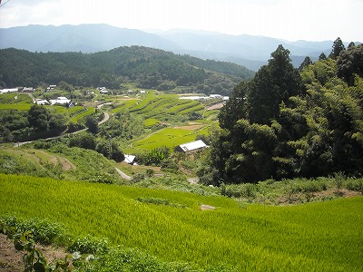 松尾峠(旧香北町～大豊町)_f0308898_14522929.jpg