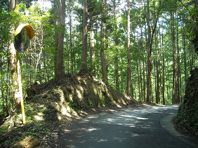 松尾峠(旧香北町～大豊町)_f0308898_14534630.jpg