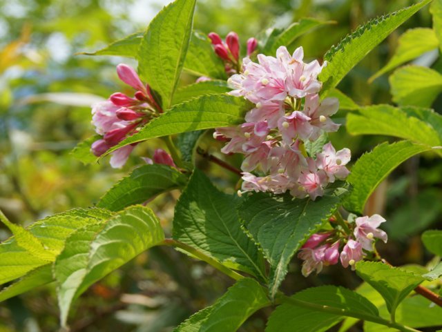 a0345007_16154090.jpg