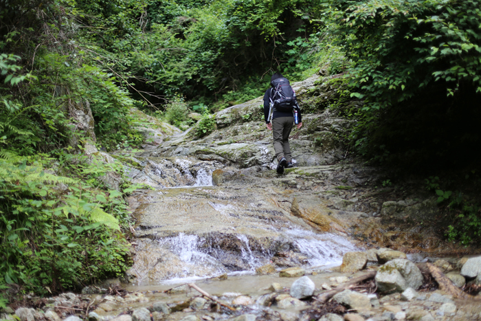 金剛山でも油断は禁物・・・_e0077010_21565318.jpg