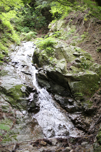 金剛山でも油断は禁物・・・_e0077010_21592937.jpg