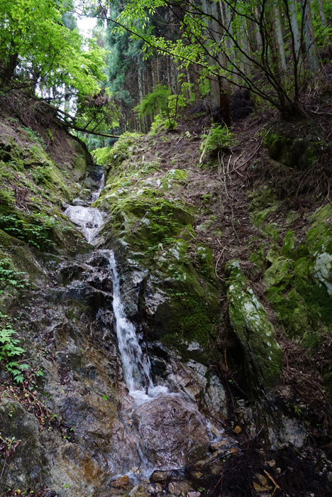 金剛山でも油断は禁物・・・_e0077010_220249.jpg