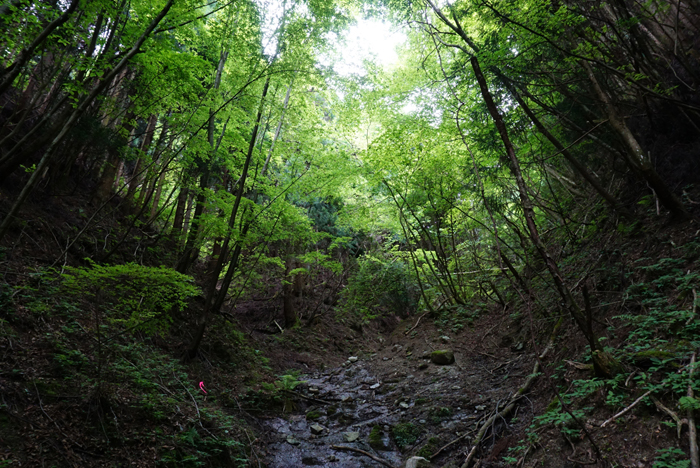 金剛山でも油断は禁物・・・_e0077010_2263069.jpg