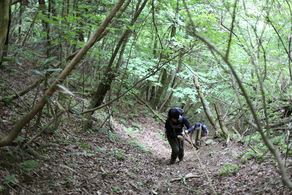 金剛山でも油断は禁物・・・_e0077010_2271142.jpg