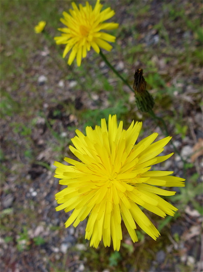 a0164011_20314121.jpg