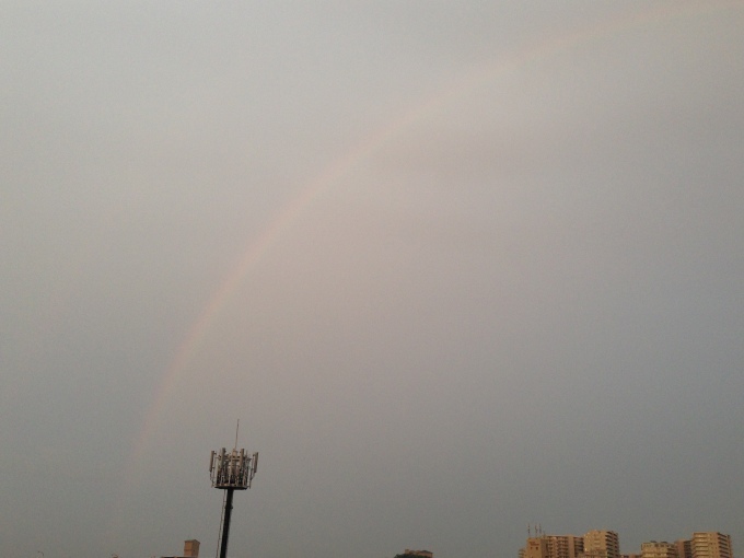 アモーレ 初体験 NO.494_c0102513_01405379.jpeg