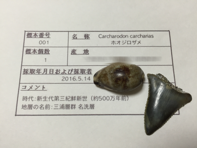 c0120316_2351212.png
