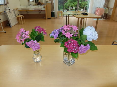 紫陽花のおはな_d0227518_10512744.jpg
