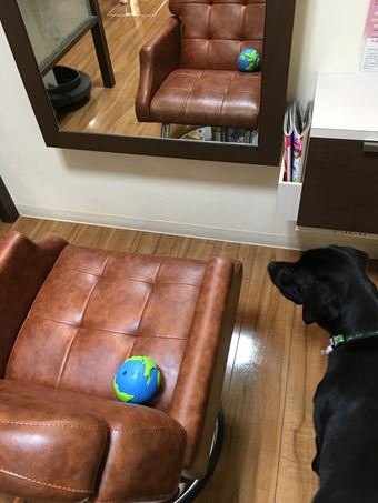 c0114121_017677.jpg