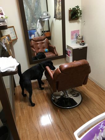 c0114121_034658.jpg