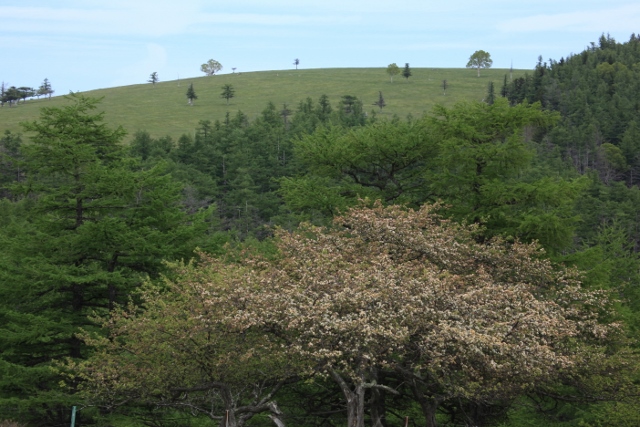 e0242721_76453.jpg