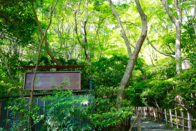 【祇王寺】京都旅行 - 13 -_f0348831_22350662.jpg