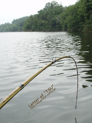 f0335637_22380190.jpg