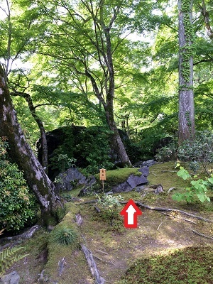 c0234938_23001558.jpg