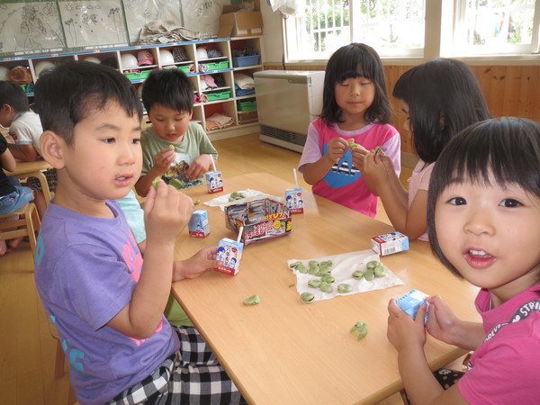 給食のお手伝いで、そら豆の皮むきをしたよ！_a0180348_18264419.jpg