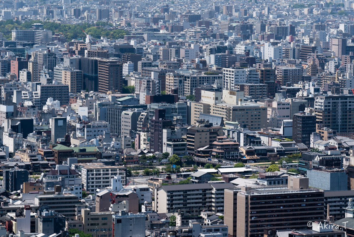 f0152550_22461853.jpg