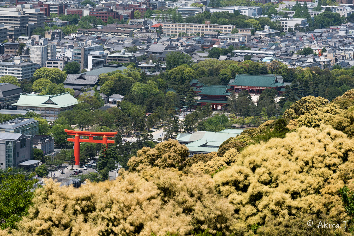 京都市内一望 -1-_f0152550_22472970.jpg