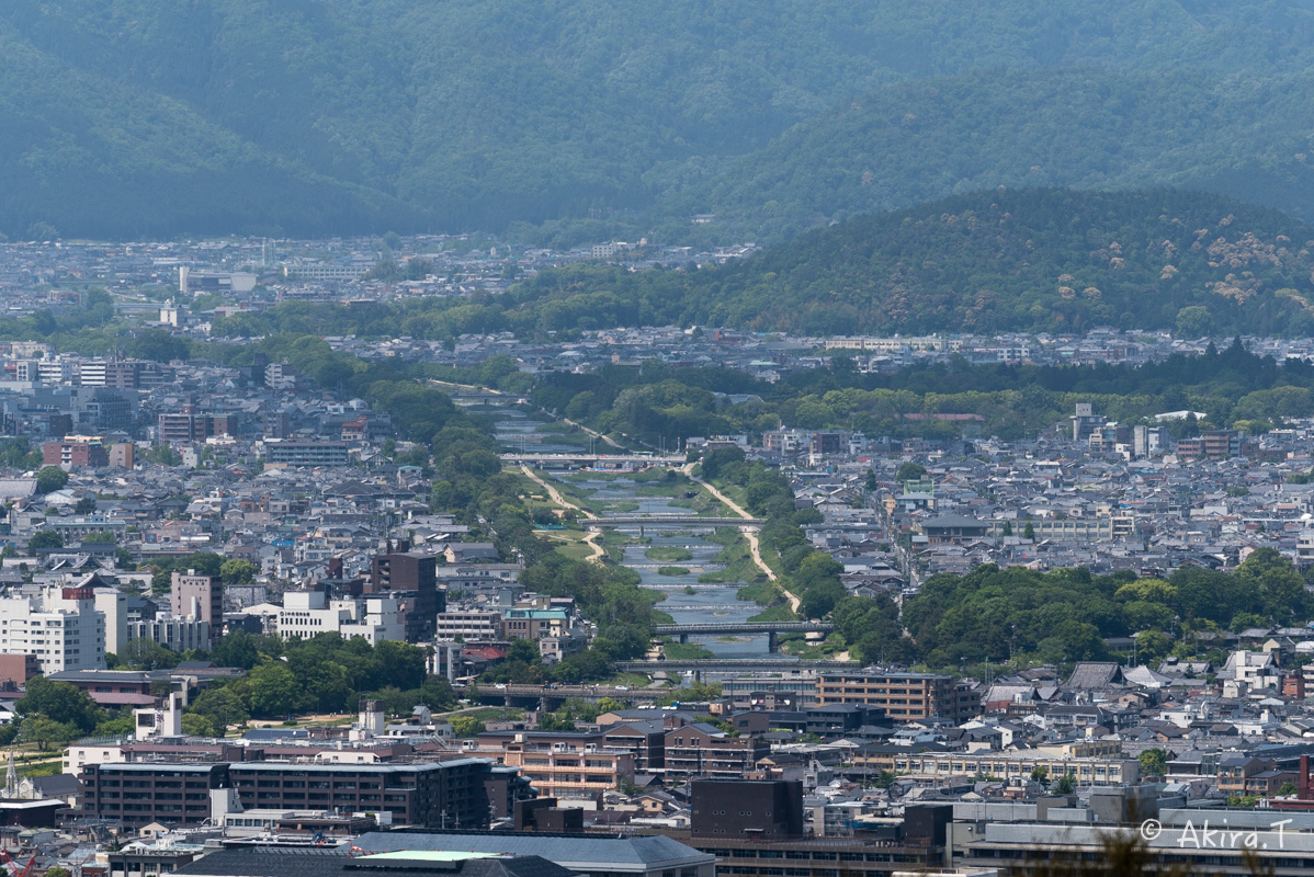 京都市内一望 -1-_f0152550_22495978.jpg