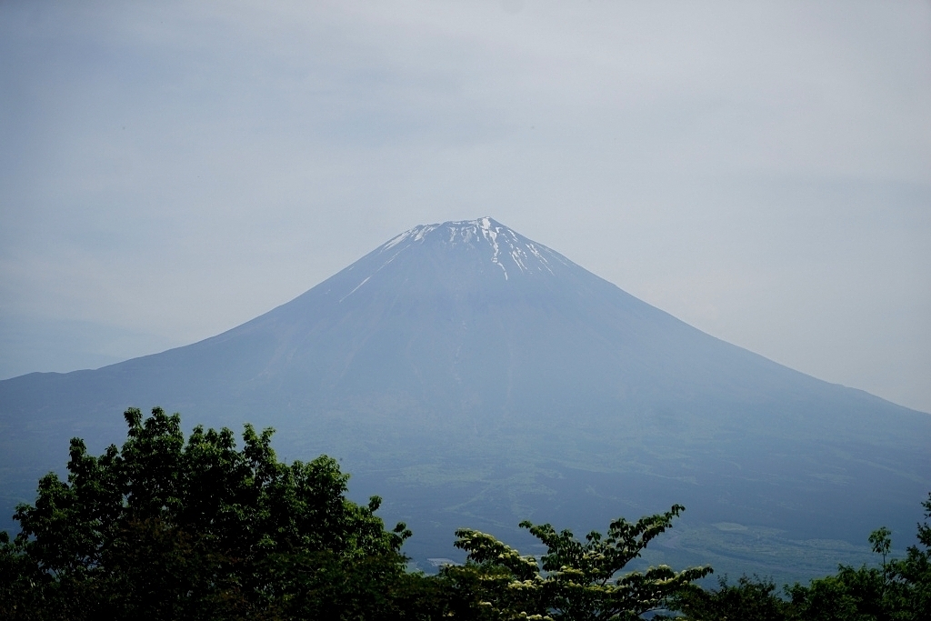 山梨百名山＠長者ヶ岳 2016.05.19(木)_f0344554_00301735.jpg