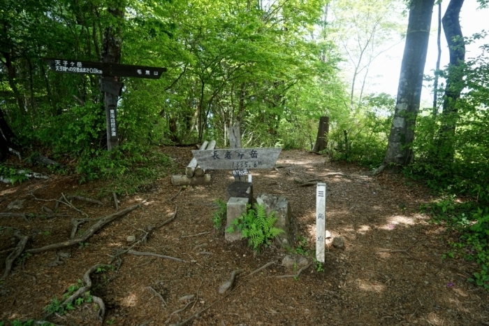 山梨百名山＠長者ヶ岳 2016.05.19(木)_f0344554_00304489.jpg