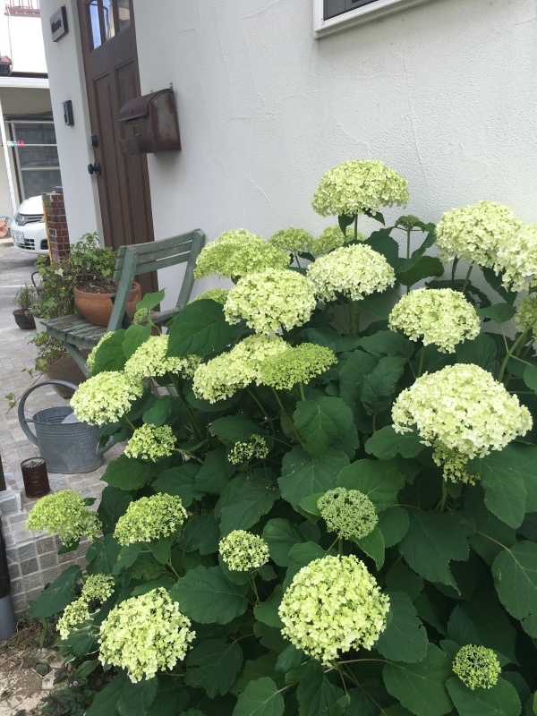 b0368665_19430527.jpeg