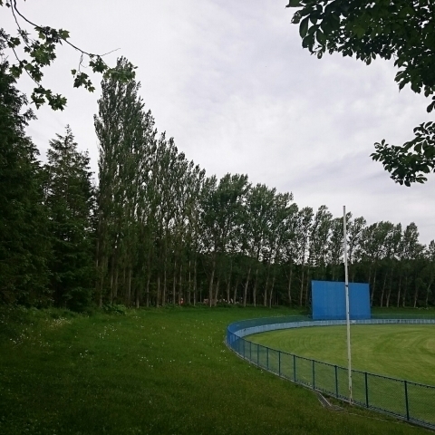c0311170_07460098.jpg