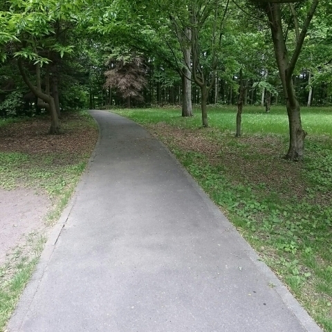 c0311170_08070200.jpg