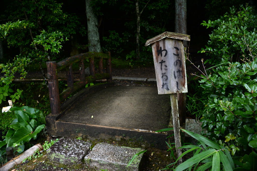 f0323171_11383818.jpg
