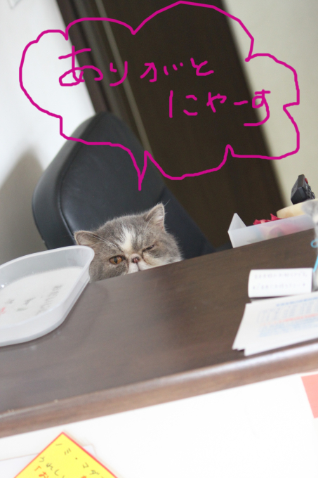 ☆ありがとうございます☆_c0245679_18342566.jpg