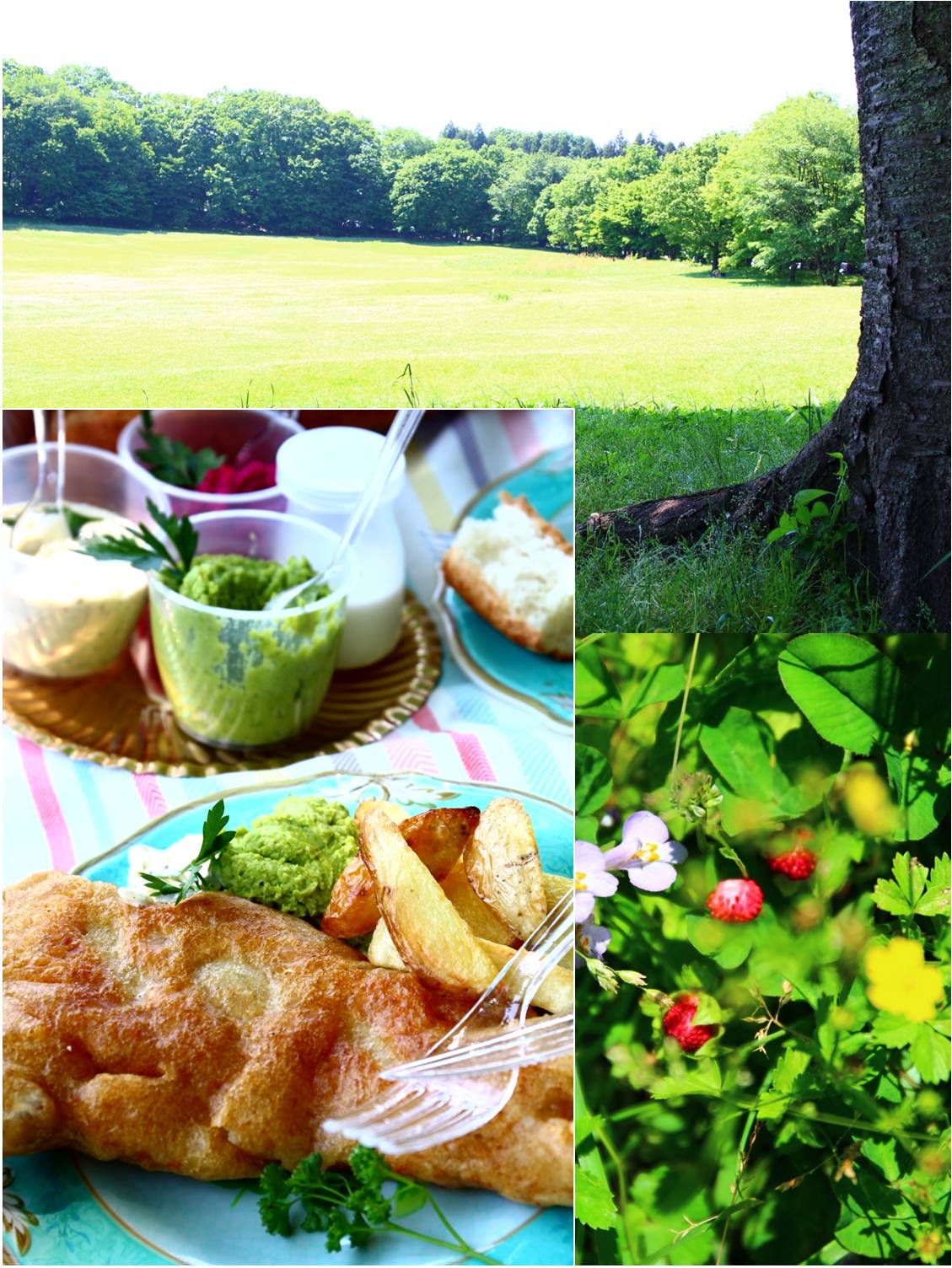 フィッシュ チップス ピクニック Galettes And Biscuits イギリス菓子のある毎日