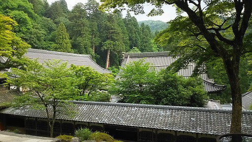 e0020682_19251392.jpg