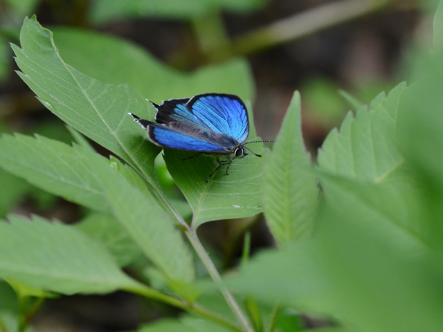 翠色の生まれる公園で（横浜市）_f0310988_21554221.jpg