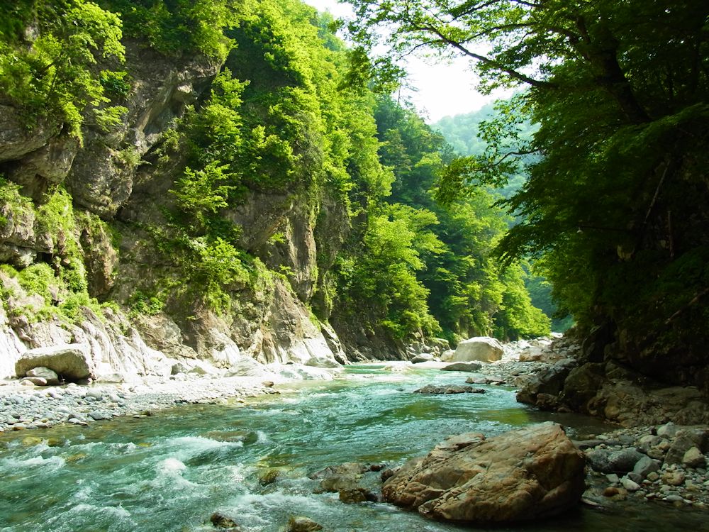 a0278092_15235779.jpg