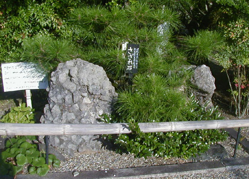 ●神社の造形―乃木神社_d0053294_1754646.jpg