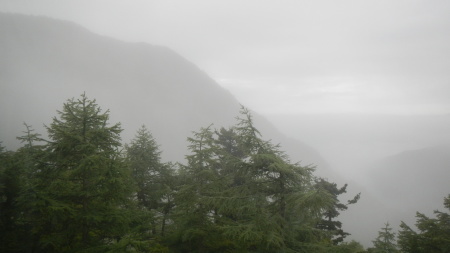 幻想的な霧の朝_e0120896_06563903.jpg