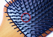 f0153497_12114537.jpg