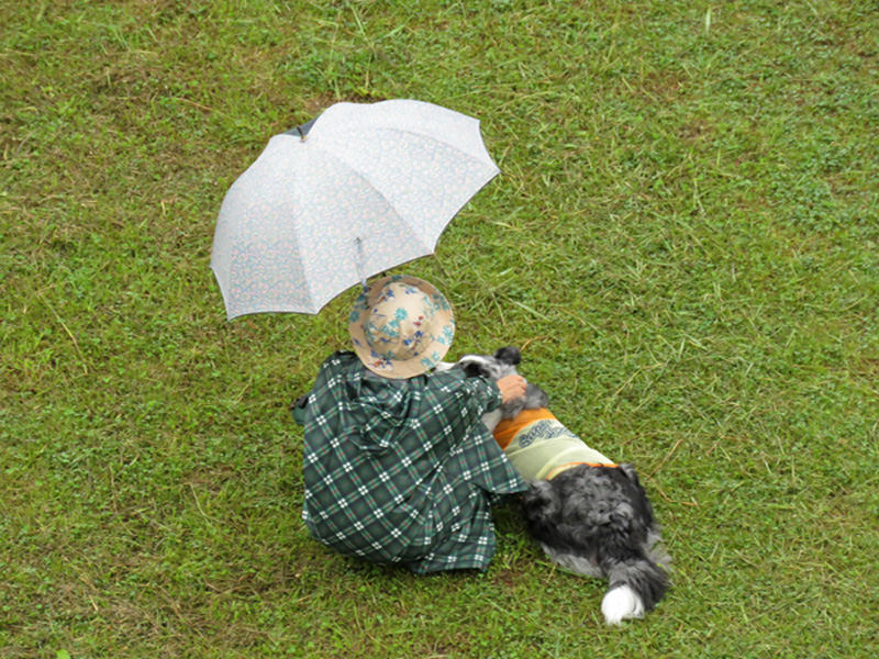 雨あめ、いやだー (^_^;)_c0049299_7363660.jpg