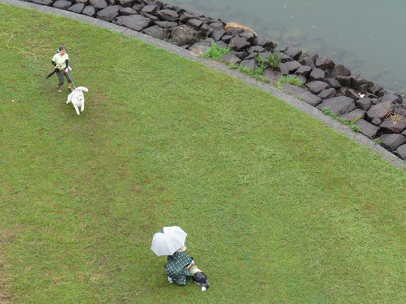 雨あめ、いやだー (^_^;)_c0049299_7453196.jpg