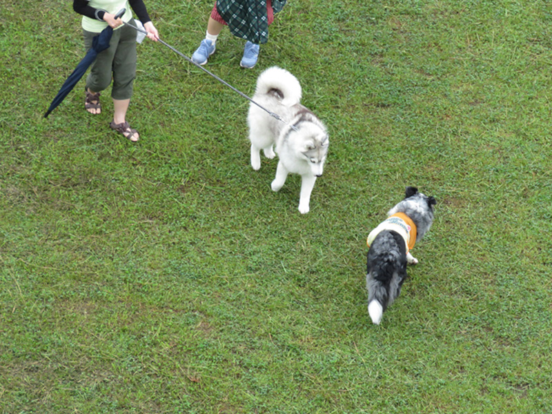 雨あめ、いやだー (^_^;)_c0049299_7492757.jpg
