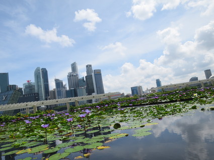 c0212604_5584368.jpg