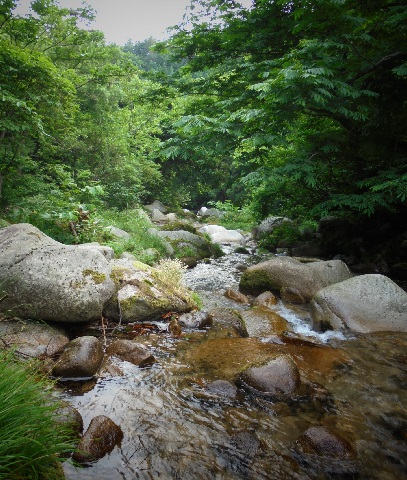 d0299604_2229441.jpg