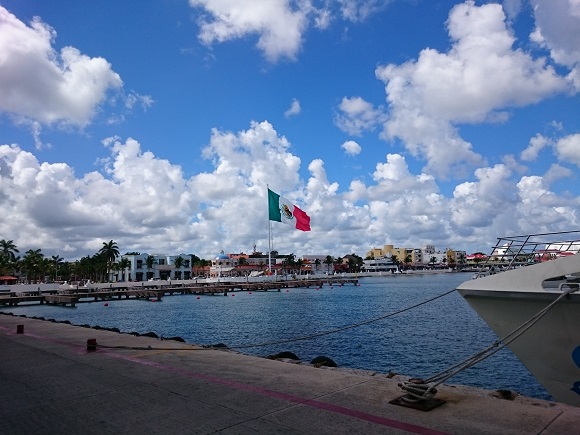 f0221204_10304345.jpg