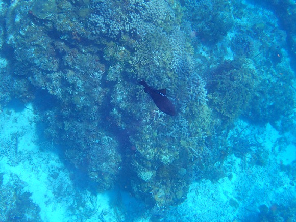 f0221204_13232599.jpg