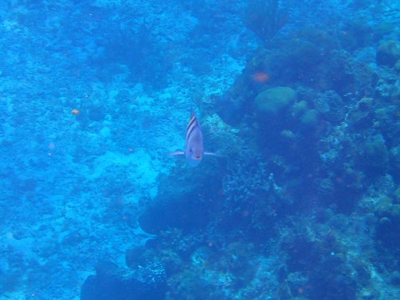 f0221204_1323750.jpg